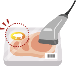 豚肉購入の図
